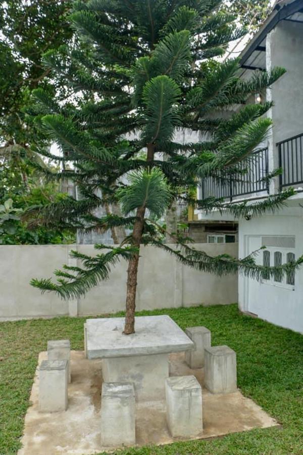 Sadhara River View Lodge Kandy Zewnętrze zdjęcie